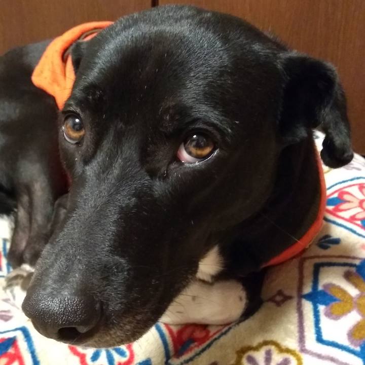 A89740f2 e4ce 4dff afa6 d13d7f45af57 1609496401587