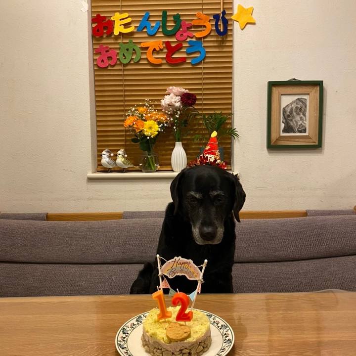 A89749c2 8d30 4da5 9bbc 27efa5313688 1638187475997