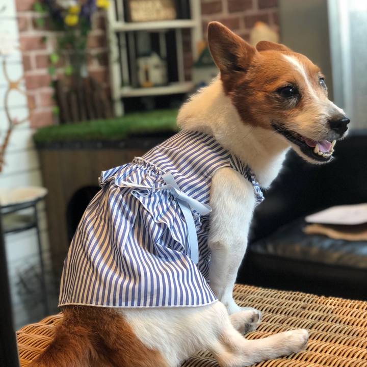 A8978560 2c25 4a66 afcb fec1cd4d6887 1525702139990