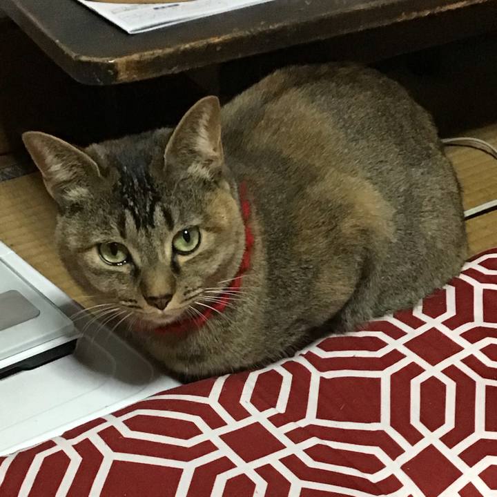 A8979973 df78 4fda 88b8 d5a802eedd66 1613553039897