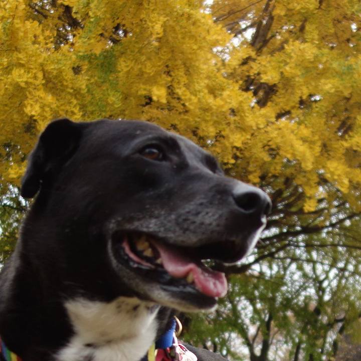 A897b4ba eaea 4e5c 8801 46d75606022d 1669769046880