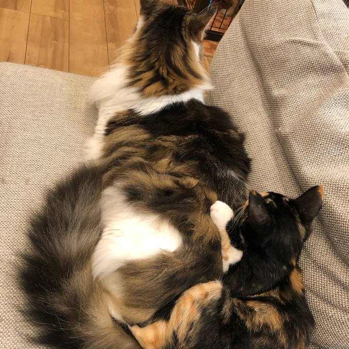 A897cc1d b92f 4a73 866f a29513188714 1639737076587