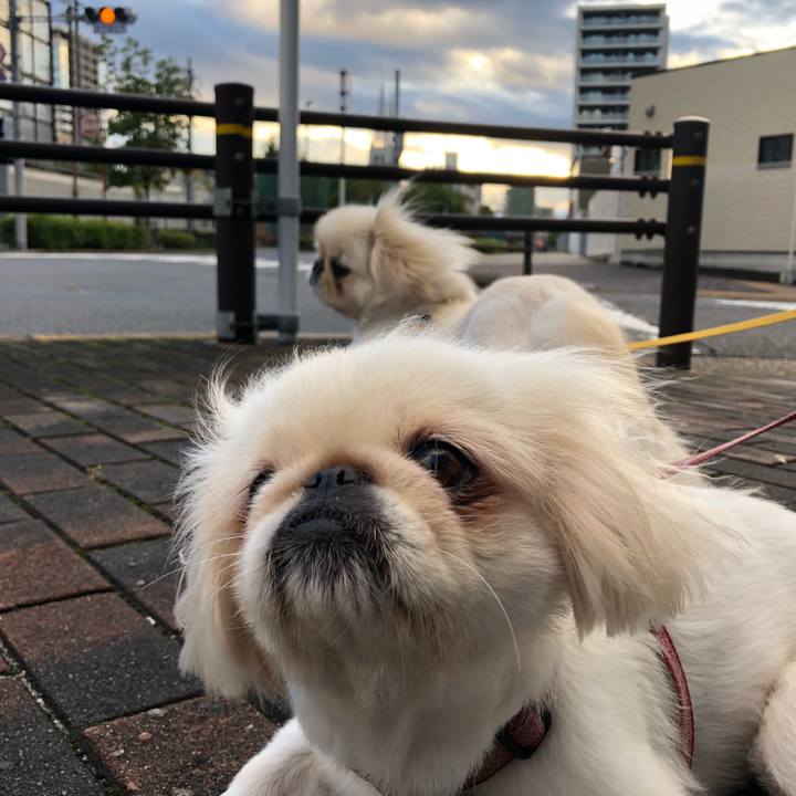 A897ddb0 e1fc 498b 8533 3b7d932b9fe4 1538343809147