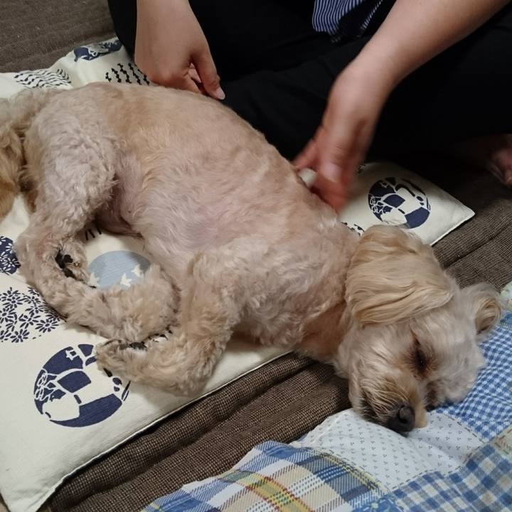 A8980116 3e64 4b5f 8af2 a83962b13e9c 1565839959268