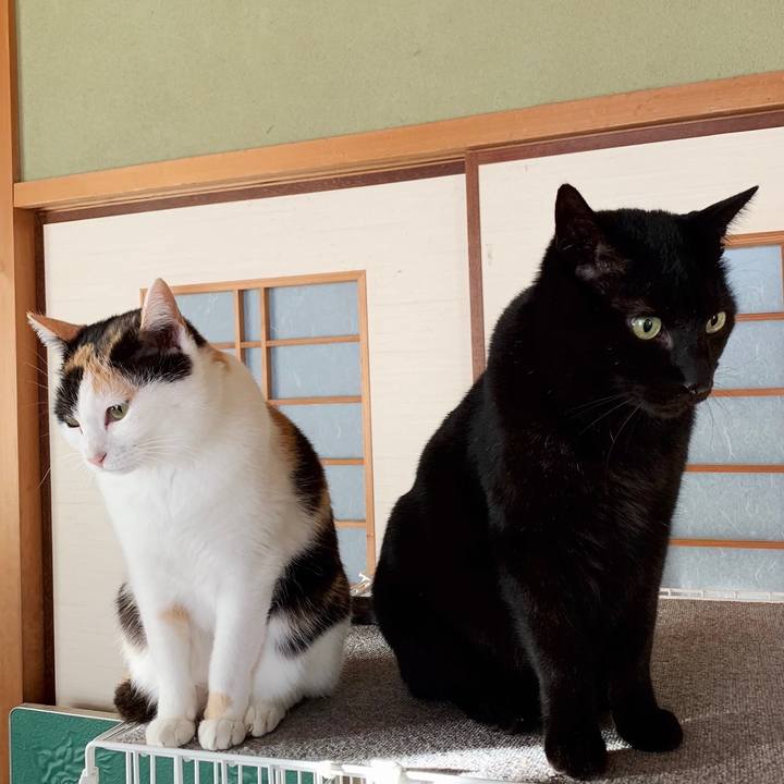 A89846a3 551d 4524 9200 37519d1d23de 1550713950194