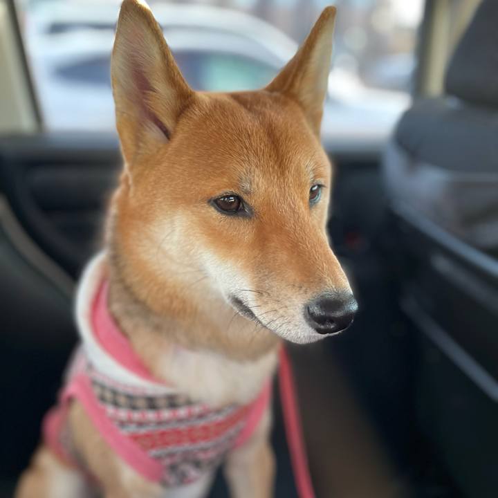 A8985002 e211 4cee 8122 fee440f6dd22 1682856710415