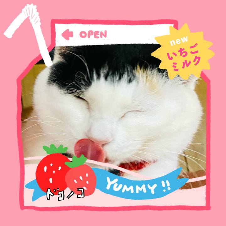 A8986db9 3d55 4bff 8ef1 e8cd321a8be1 1711033768545