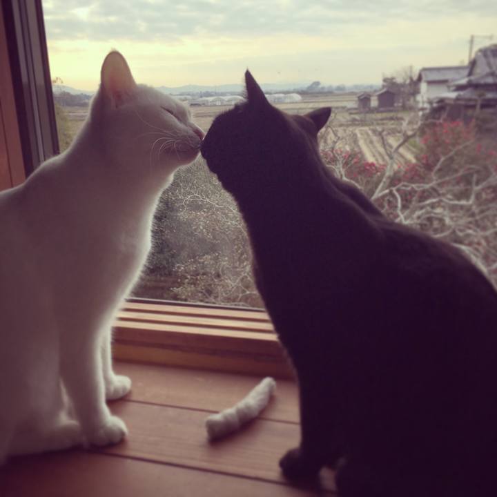 A8987f29 de6f 417d a357 f752a8e3348f 1513730821665