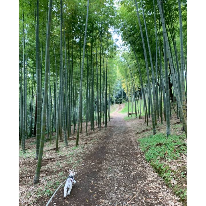 A898899e 8f85 4e8b a5c3 d55ae2f2d752 1587129620472