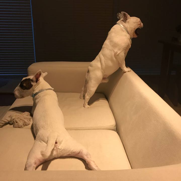 A8989752 aee9 4be6 b3b6 85ac5b051635 1564012256886