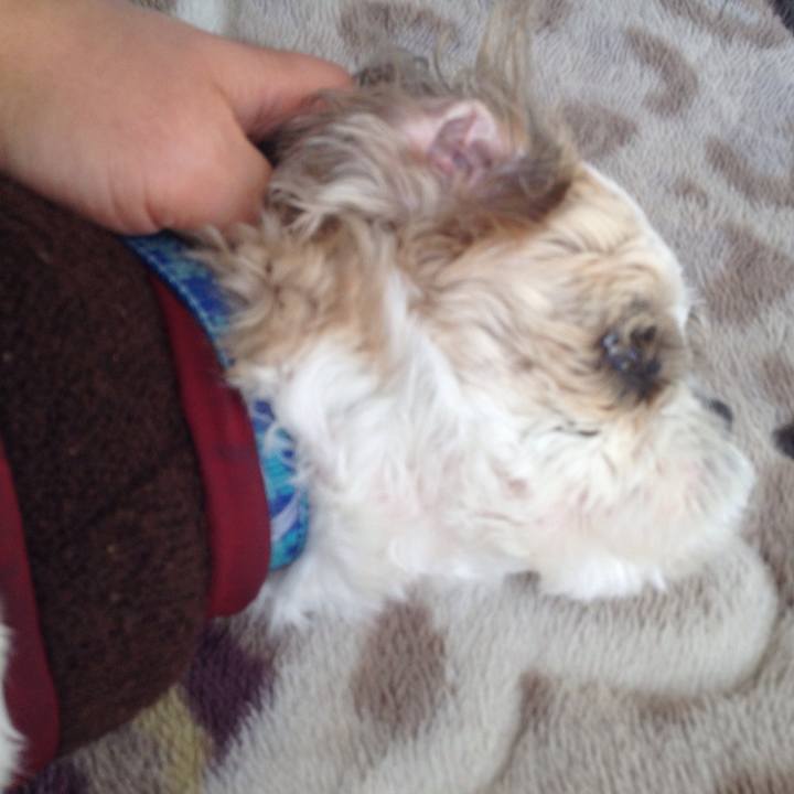 A898acff 80f1 4ebf a42a c8f890ab35f8 1516138939824