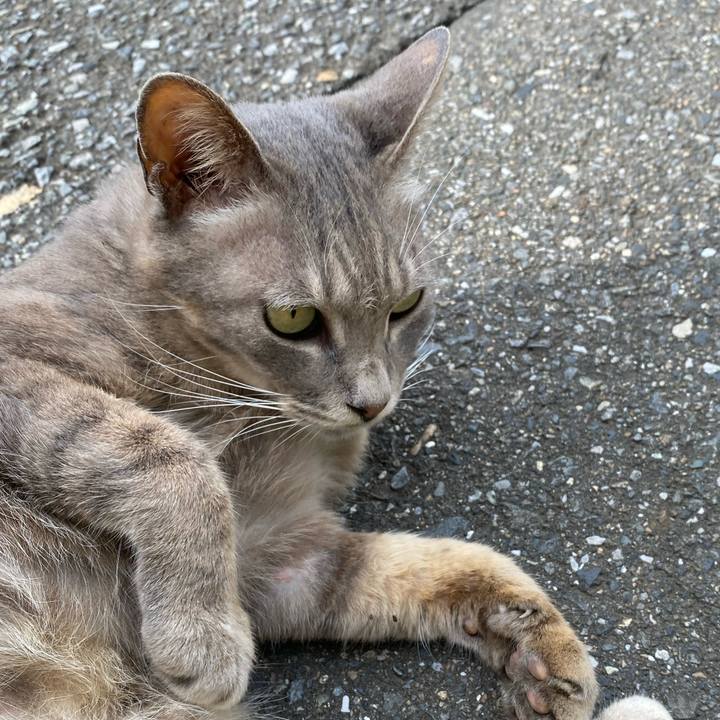 A898b881 c7b8 4fc8 a682 db5e0f3afbf7 1593938382406