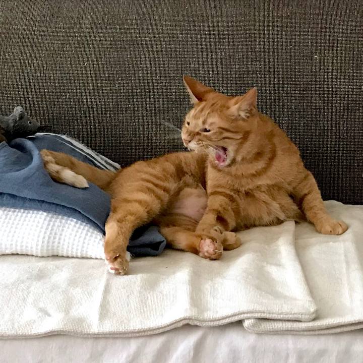 A898bd35 6216 48a6 8aef 26c1ba59ce7f 1536383523484