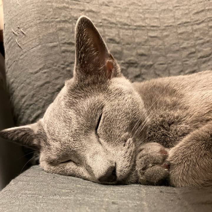 A898c1d2 f4ff 4a72 b46e 671484d5b436 1629542596458