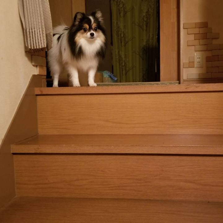 A898de7f 9bda 451b ad4e c2c395b5d2e2 1538476112504