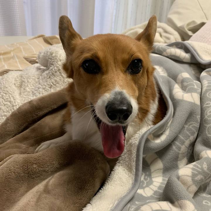 A898fc51 de2a 4cb6 919e 8e42b03fabda 1608609466641