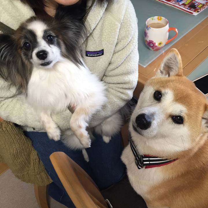 A8990a4c d33d 4ba4 ba19 7523918eb5eb 1518832419654