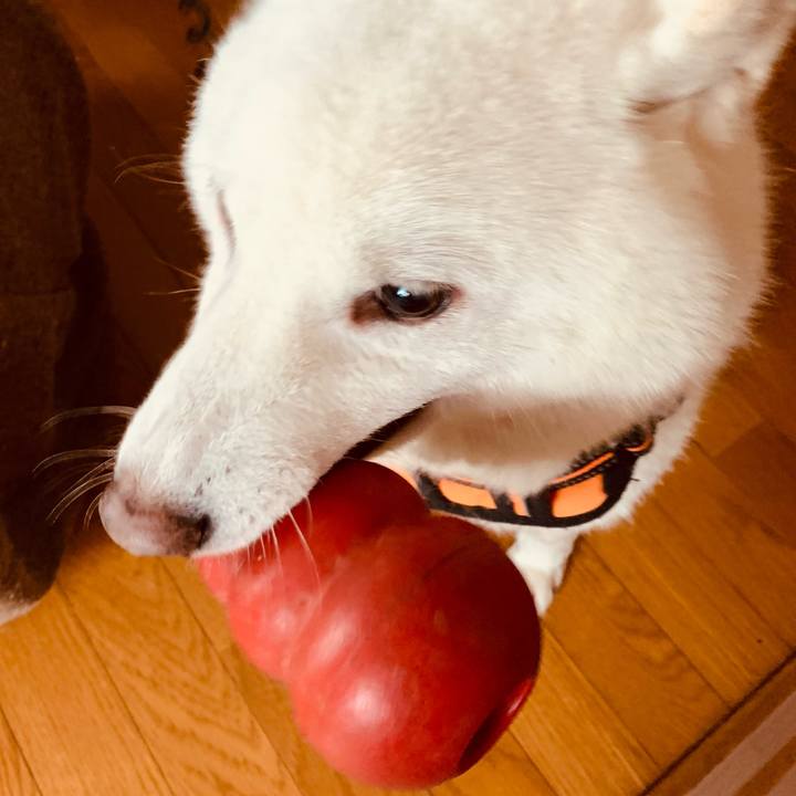 A8994517 2926 479f 84ec bf692516764e 1670133714105