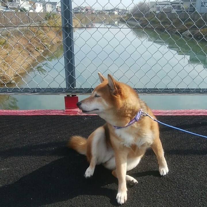 A89952f1 3816 4e0f b8a8 ef4d71a1aba8 1574129979893