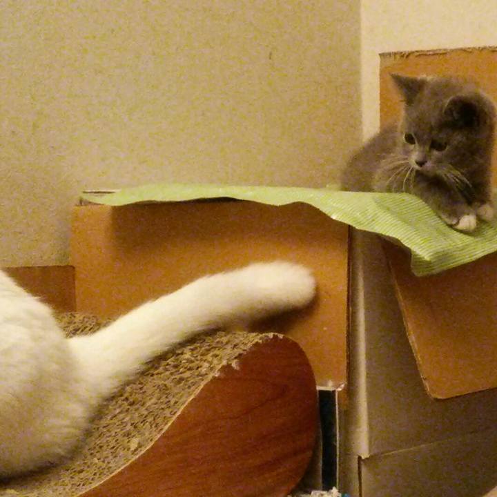 A899d4df 18ba 4109 85fb 5969ebf7e658 1530829210244