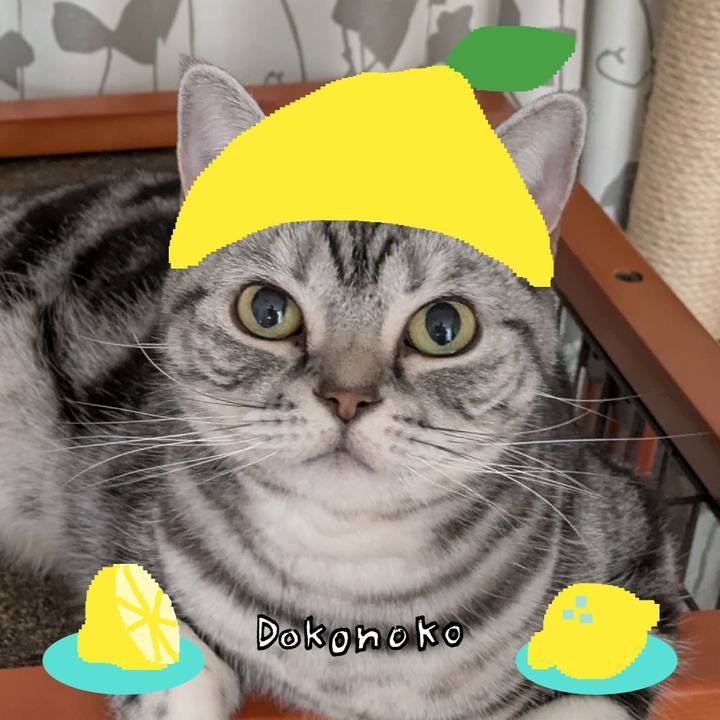 A899deca f9b0 402d 8c87 f0c0970962da 1741127277209