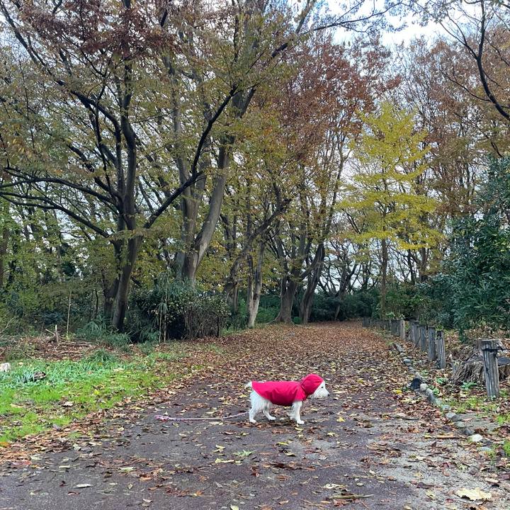 A899f6fc f74b 4c99 b246 7222dc8981d8 1733180052367