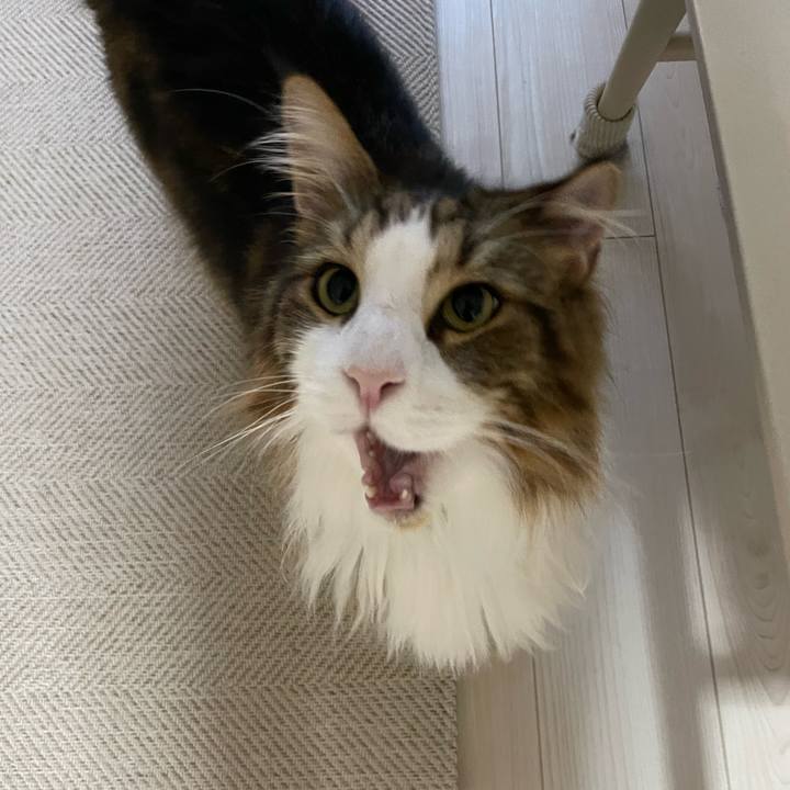 A89a06f1 f465 49e3 a425 82e4a8188a9f 1686772338016