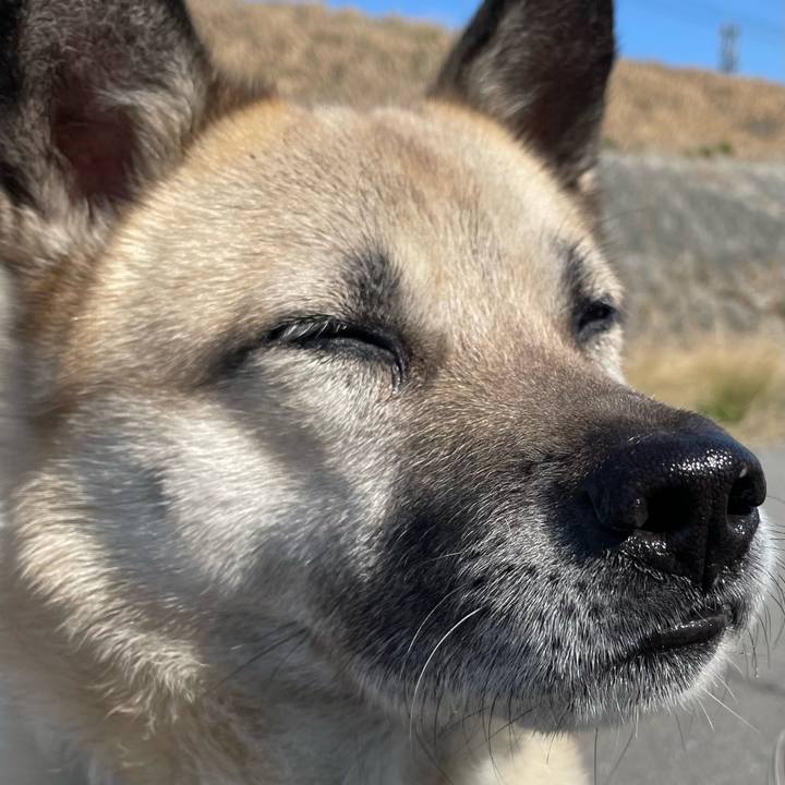 A89a11e6 2584 451e bb97 2150d848d812 1678021042820