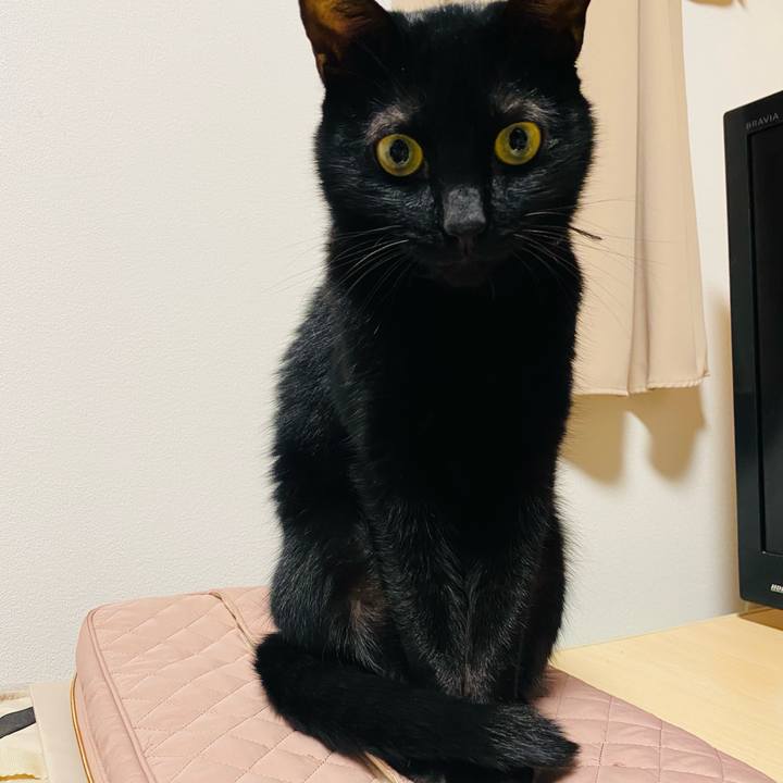 A89a241a ec60 4974 b0b4 34a14ac39e17 1696775708934