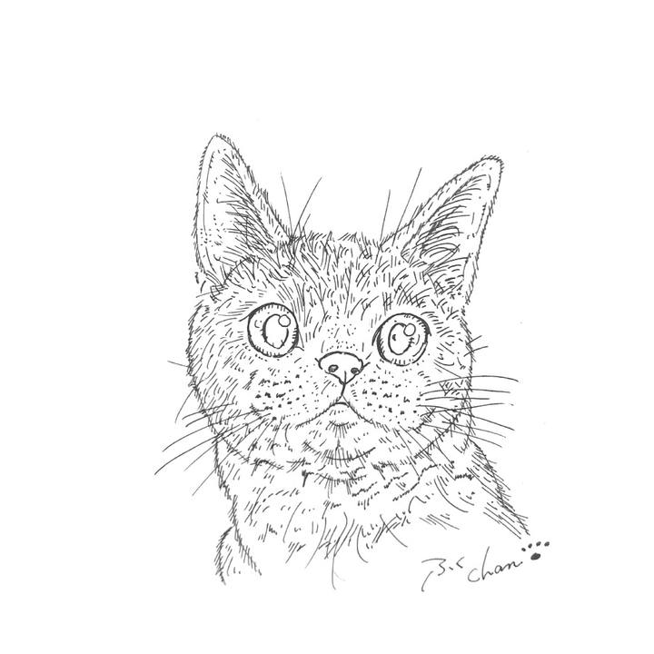 A89a3225 3698 4a27 bac5 1dd7b1074947 1585254511172