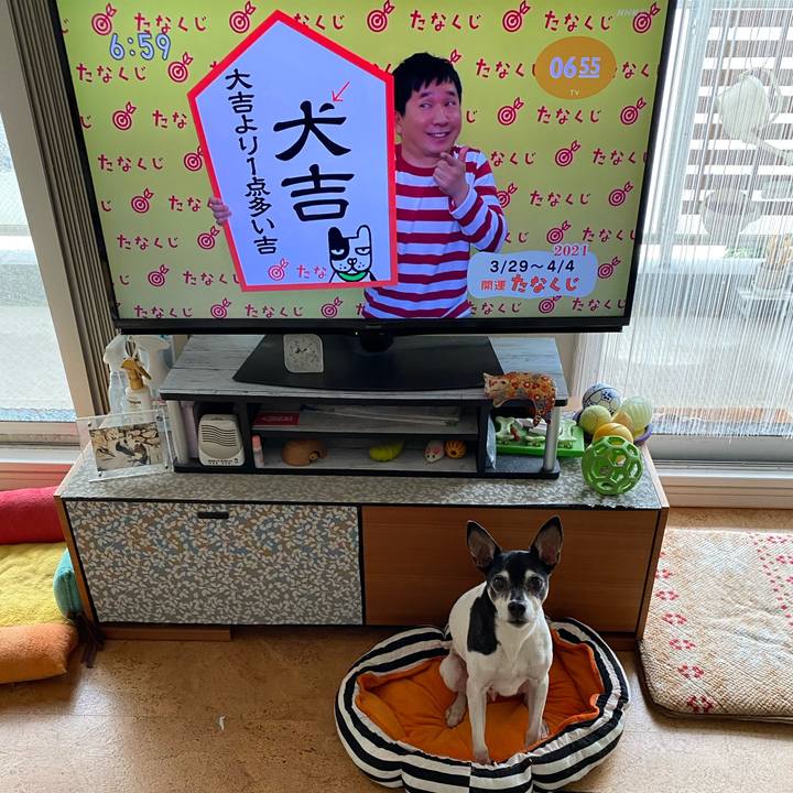 A89a4026 63d7 4ebd b187 918cd5d07f84 1616969552684