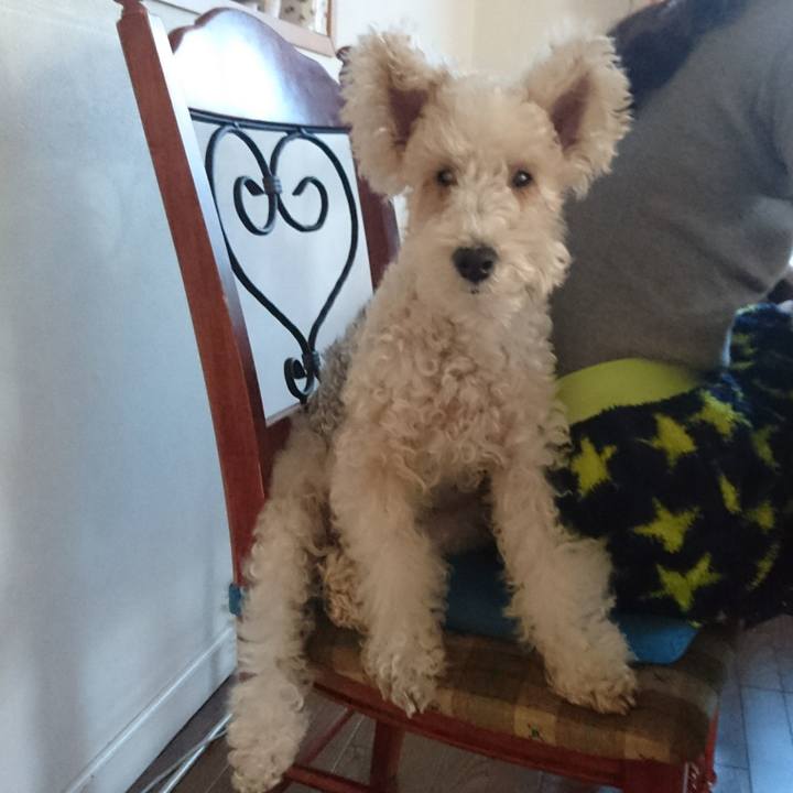 A89a8a1a 3227 40a0 96fd eefa3e5fb225 1515912567036