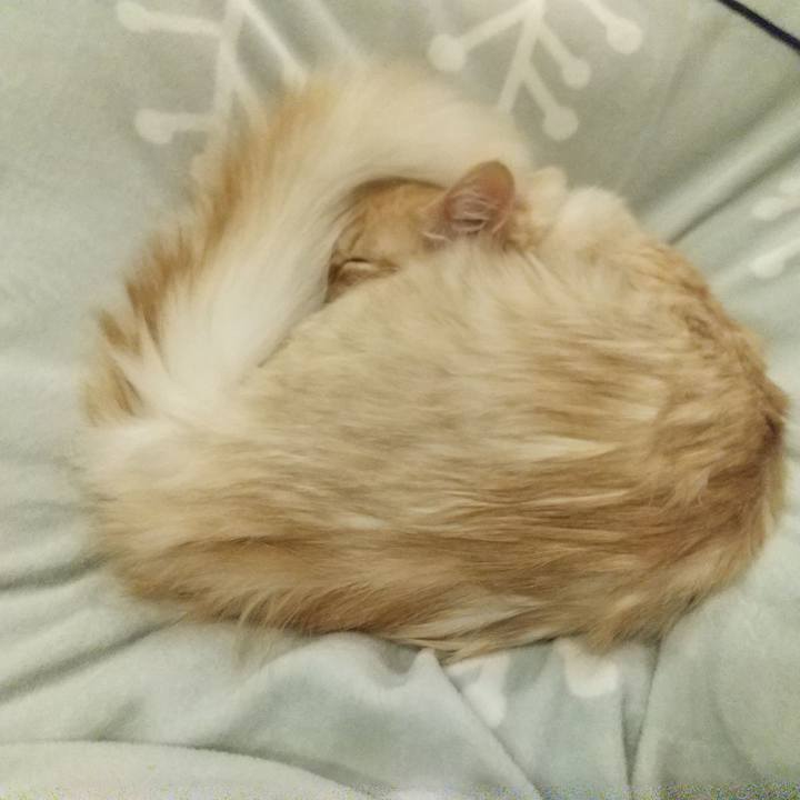 A89aa74e 7107 45f8 b815 1147ea714044 1615467548286