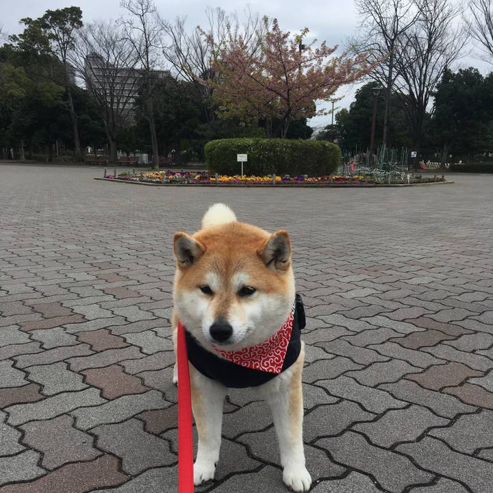 A89aede5 b777 4f41 9e34 d3cc2a421221 1583564673442