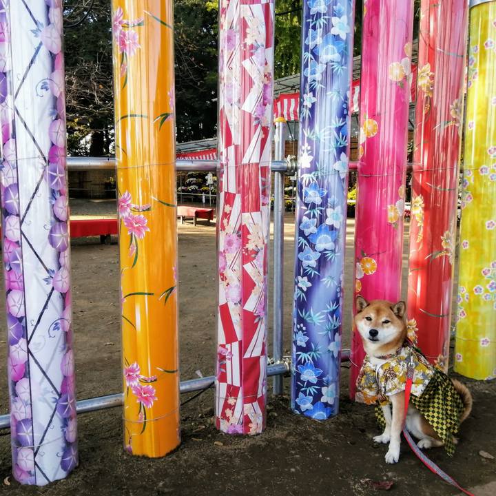 A89b03af 95c6 4727 99d4 4cf0175a4e66 1636898540767