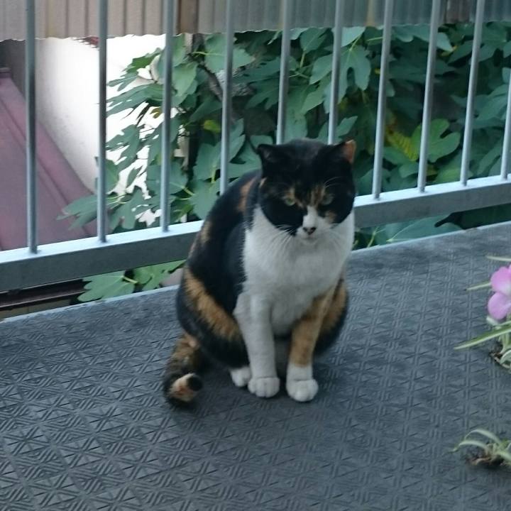 A89b2ad3 56f1 4d45 b4a0 fb146e622d1e 1510469655947