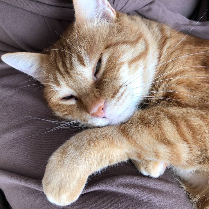 A89b7755 301b 4f56 afdd 927f9935c1a4 1608343294861