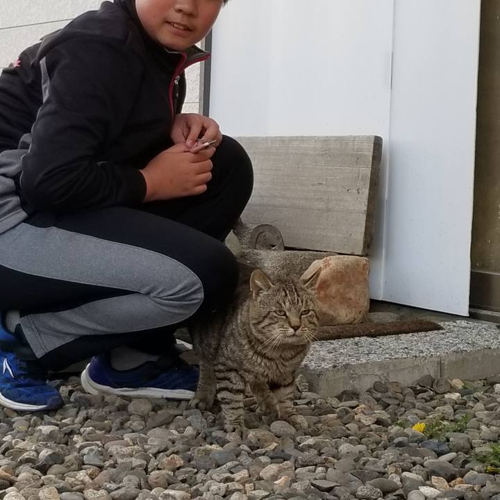 A89b89eb 7116 4962 a7e0 c460d3d0feac 1589456636130