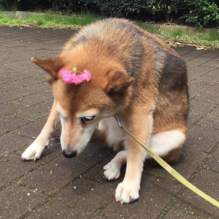 A89b9e60 cffa 4229 804d 0602e6680831 1629868219941