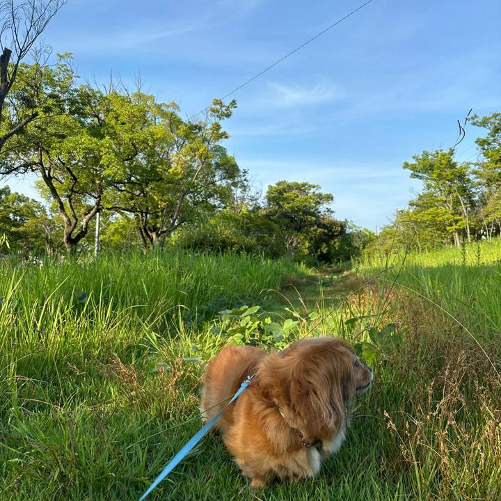 A89bbeb0 6fa9 4476 b425 e9ca5afbed3f 1722466646796