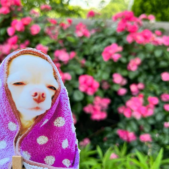 A89bdcb3 c762 47db a9e0 fa5ab0aac034 1653098416010