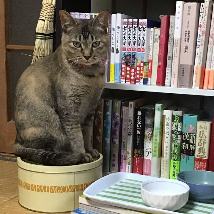 A89c12c7 8b52 4ed1 b4b8 97906db37a58 1593996099139