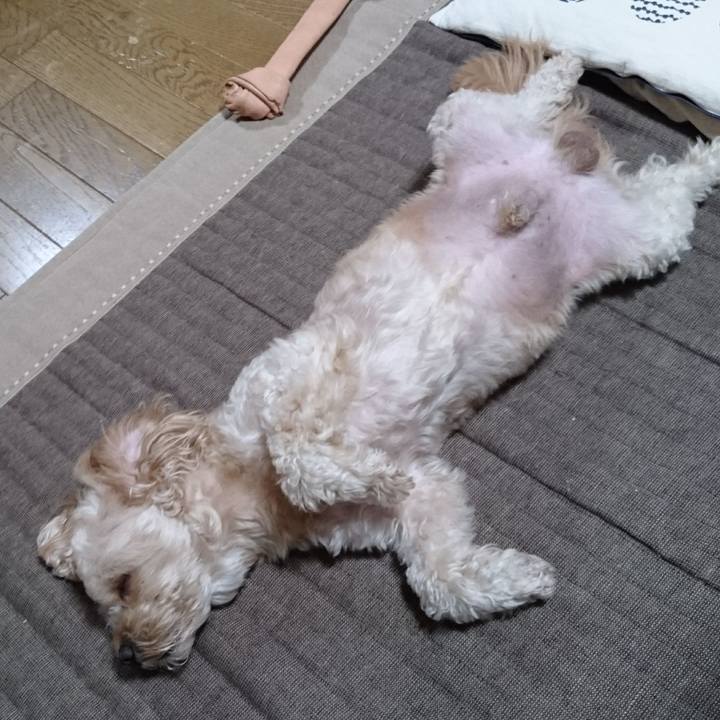 A89c4747 d555 4671 bf00 80dd1edf26fb 1533445199331