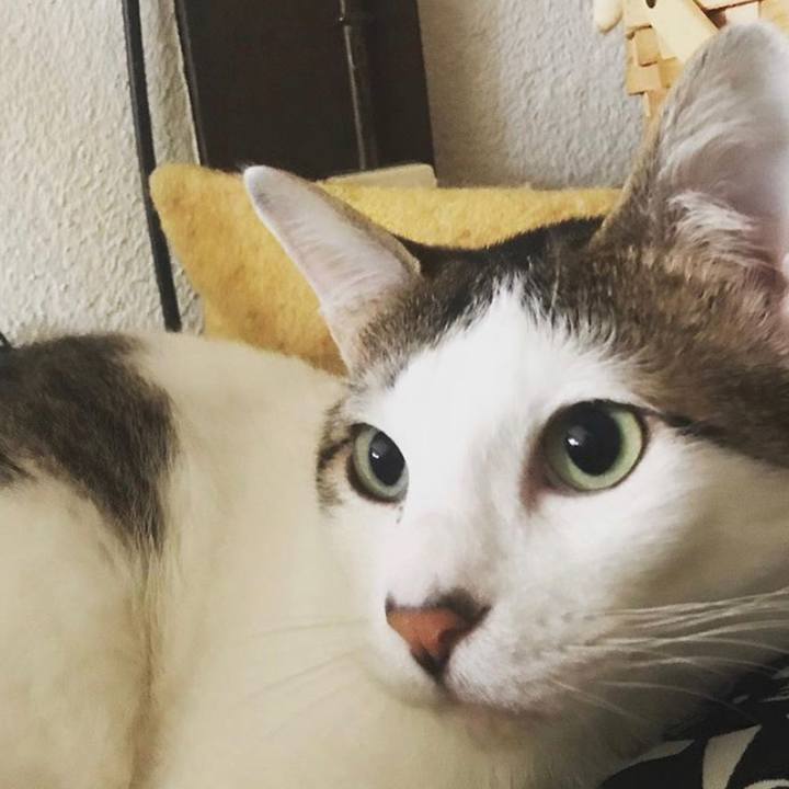 A89c4e5c b7d2 465e b809 0ab733e3990c 1562388178493