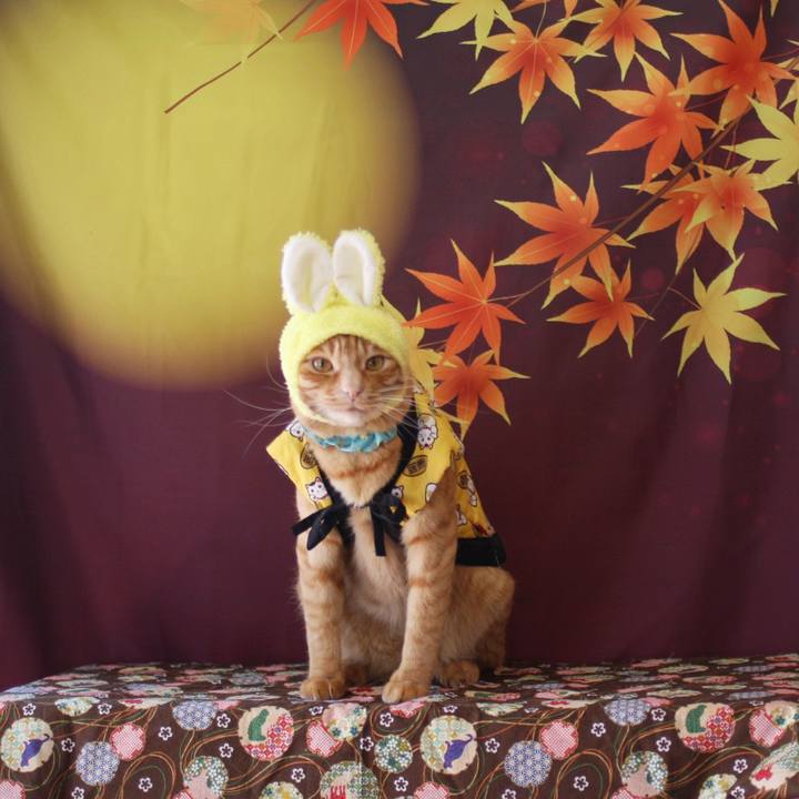 A89c6df7 bc87 4886 86be 29385b422a1d 1758342647104