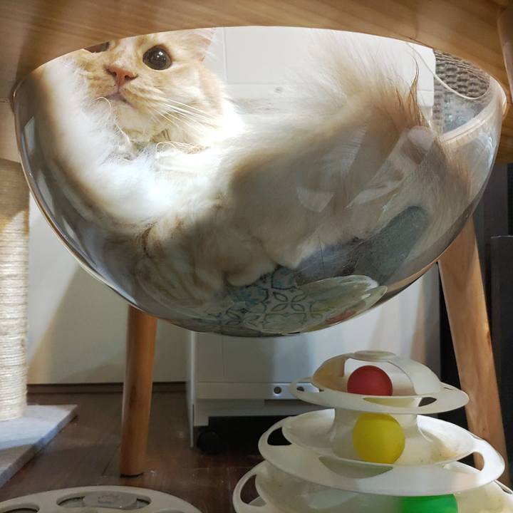 A89c9719 d92c 4290 ae67 357c3372d92a 1711922718976