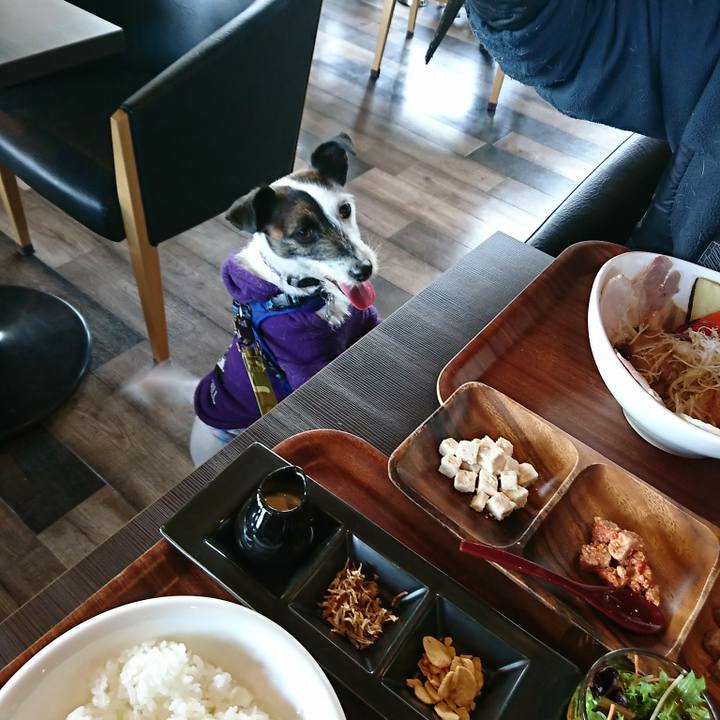 A89cb7ab 0913 45bf ae33 980d1fe2fdc6 1518928718187