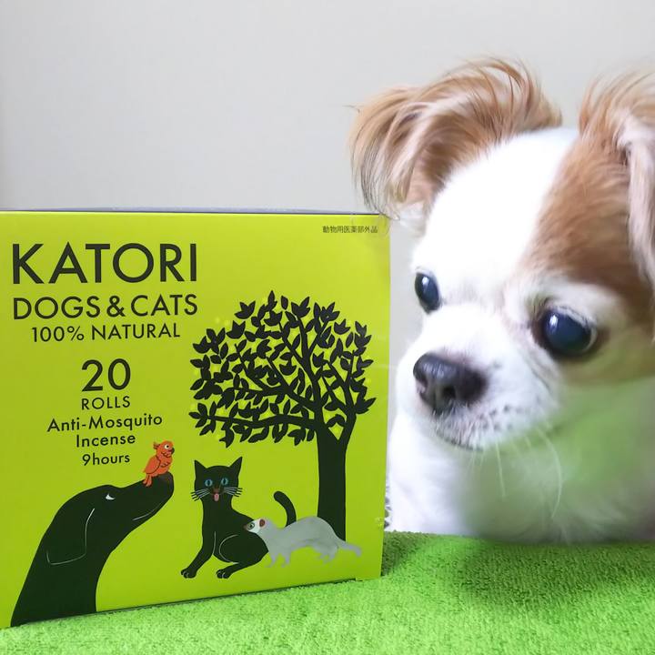 A89dafea 027d 4ddc 908e 7f981cb51ceb 1593064400477