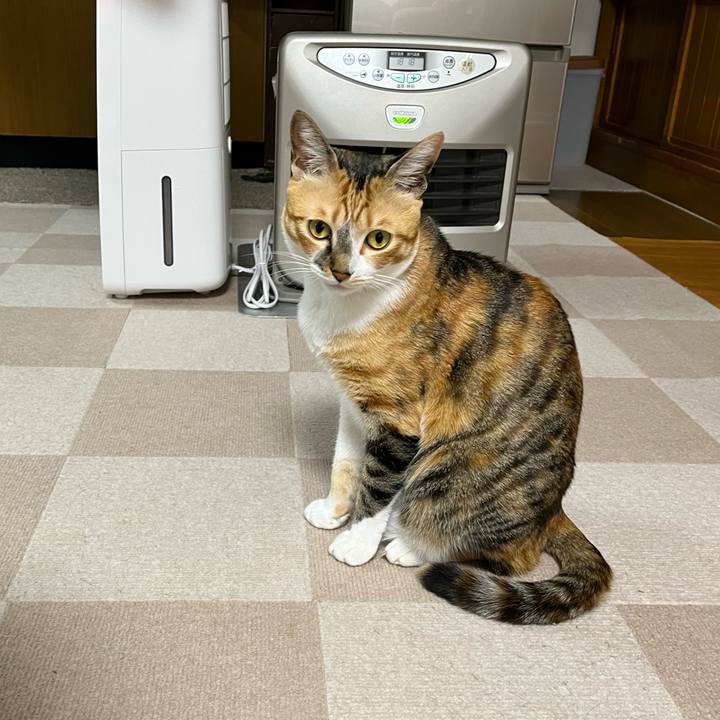 A89dcdc1 fd2a 4b3e 8383 619ecd9a4844 1703677541112