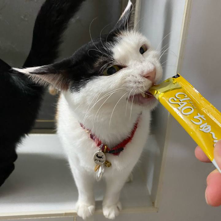 A89e13eb 3550 46ce 9747 9366085f8f66 1717418523268